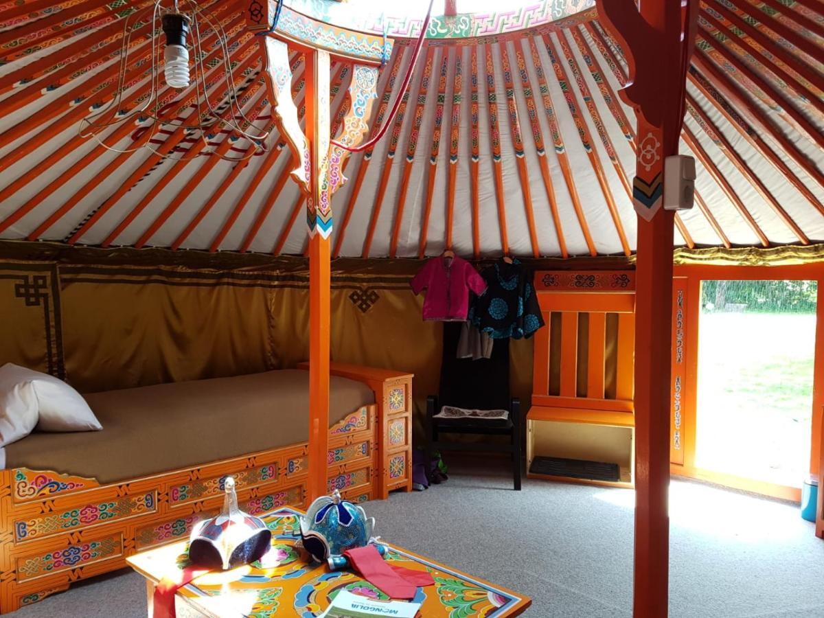 Pension New Nomads Zesch Exterior foto
