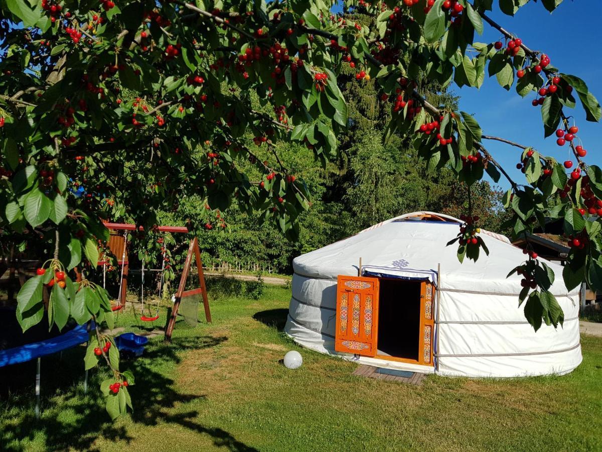 Pension New Nomads Zesch Exterior foto